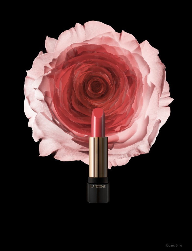 Rose Comtesse_fertig